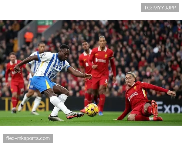 布莱顿主帅推新战术攻守兼备,球队前景获广泛看好 布莱顿主帅推新战术攻守兼备,球队前景获广泛看好