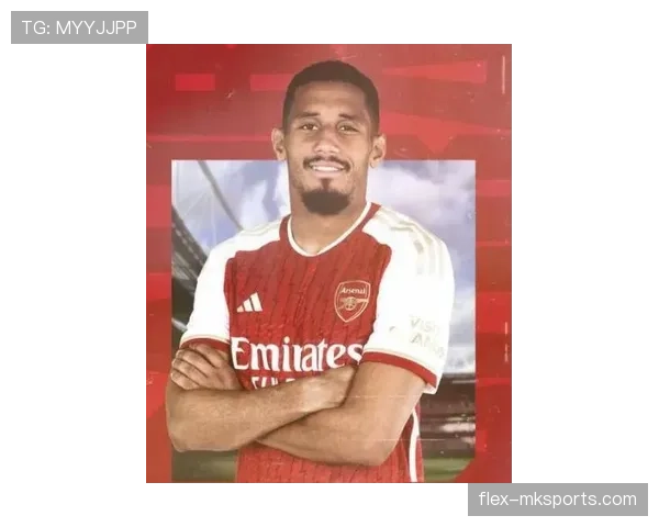 威廉·萨利巴：英超最佳阵容成员跻身顶级中卫